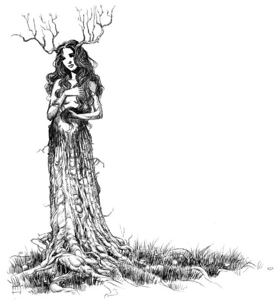 Дерево в виде женщины