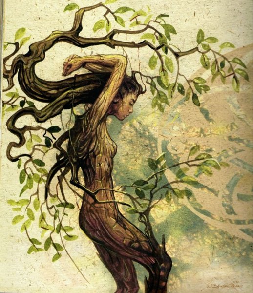 Дерево в виде человека