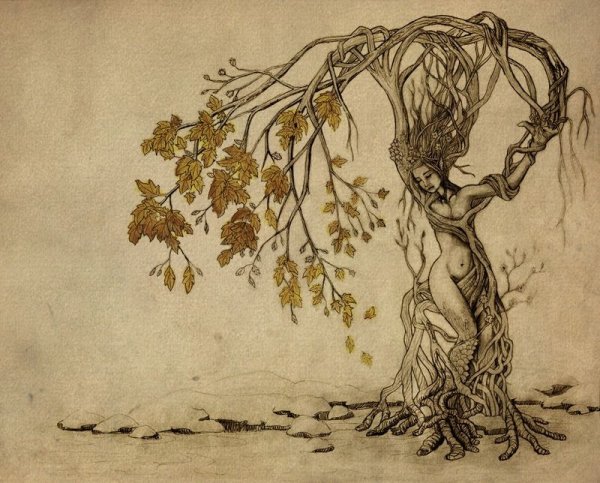 Девушка дерево эскиз