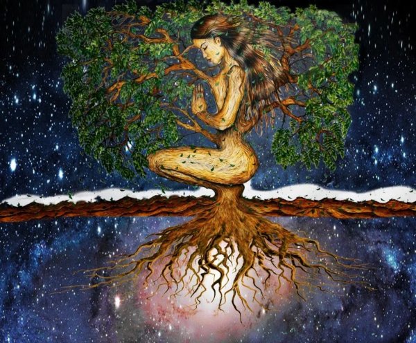 Дерево с женским силуэтом