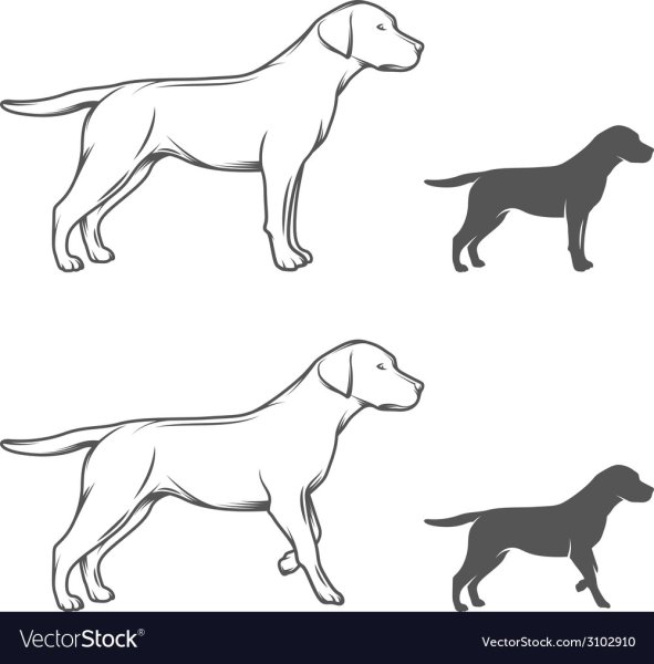 Собака сбоку вектор