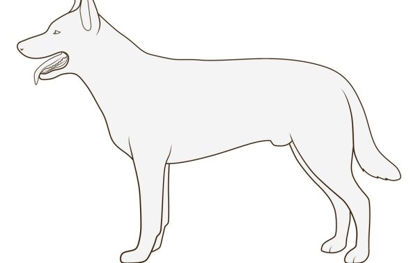 Собака сбоку