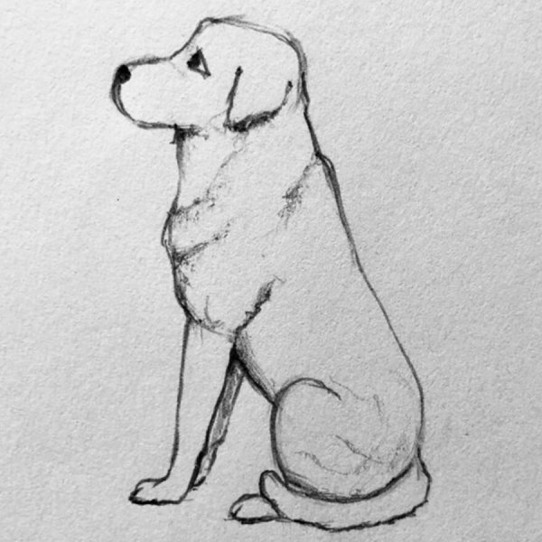 Рисовать сидящую собаку