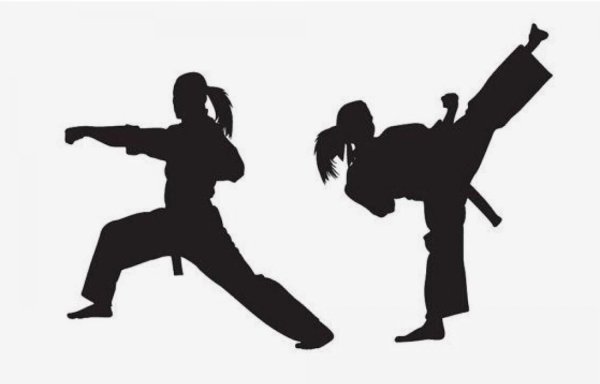 Военные приемы рукопашного боя