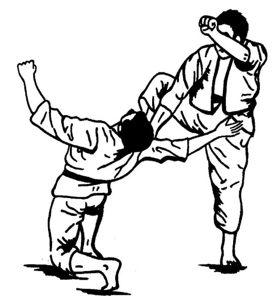 Рукопашный бой смешное