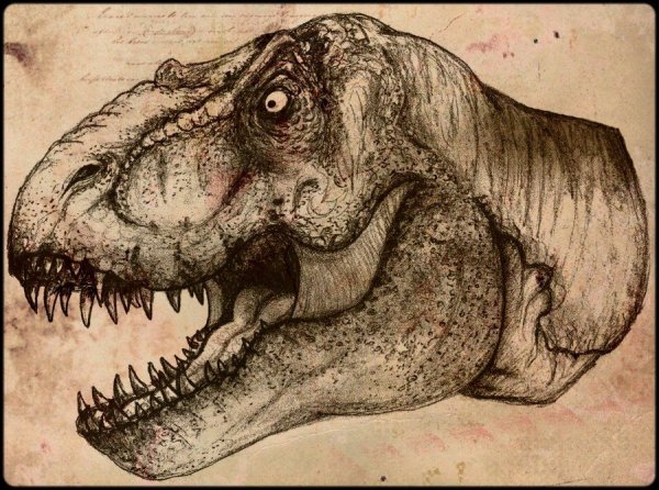 Портрет динозавра