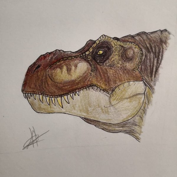 Голова динозавра рисование