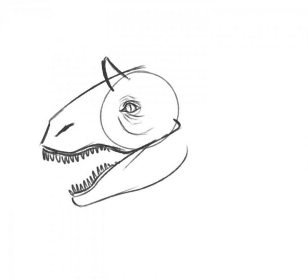 Лёгкие рисунки головы динозавра