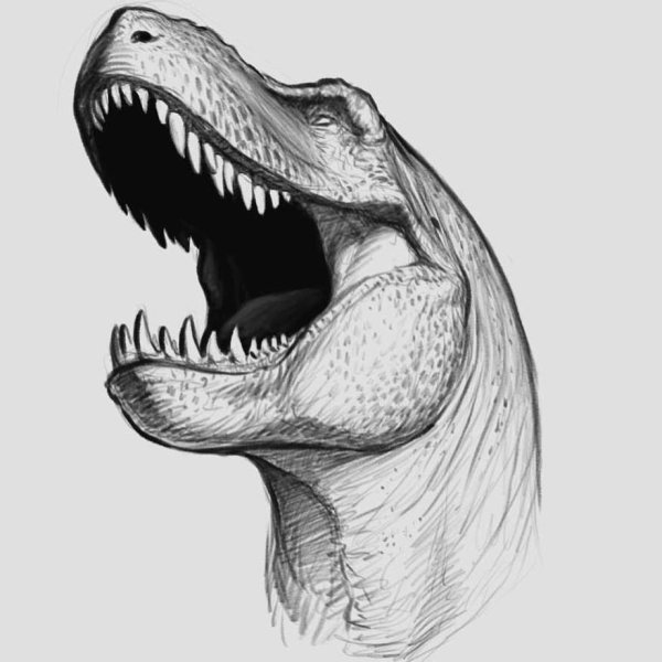 Голова динозавра черно белый