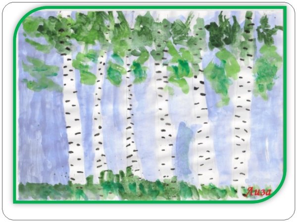 Рисование Березка в старшей группе