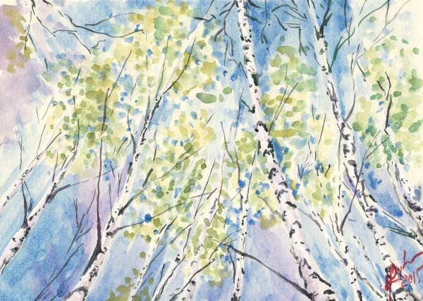 Береза акварелью