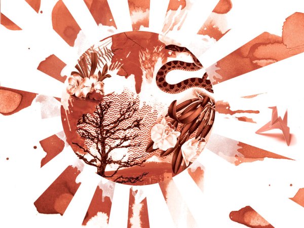 Самурай Империя японская Империя