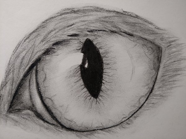 Глаз Графика