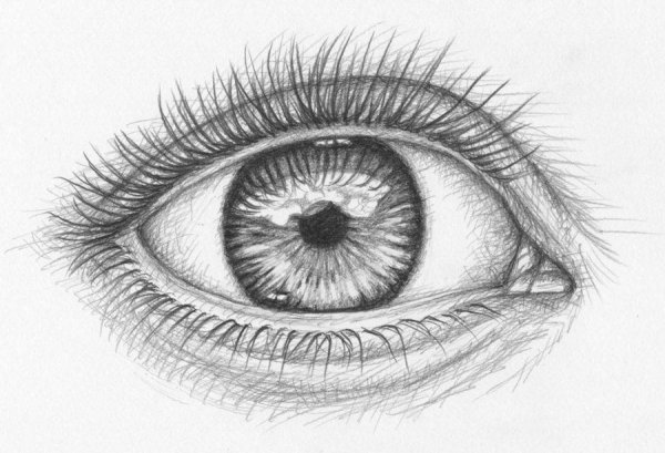 Глаза Графика карандашом