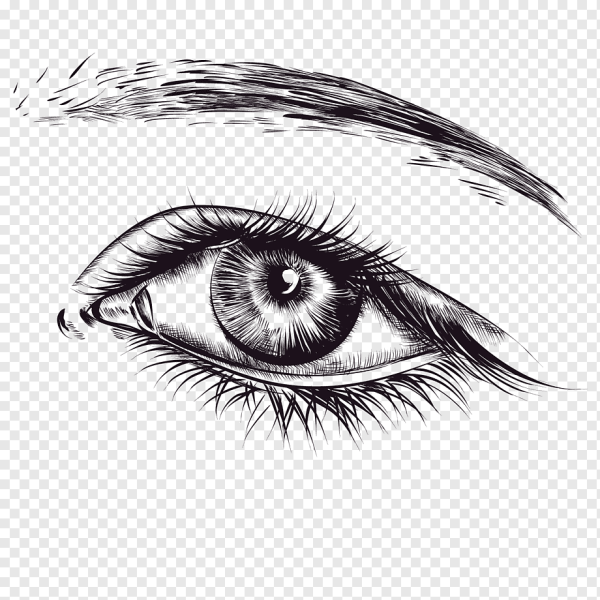 Глаз Графика