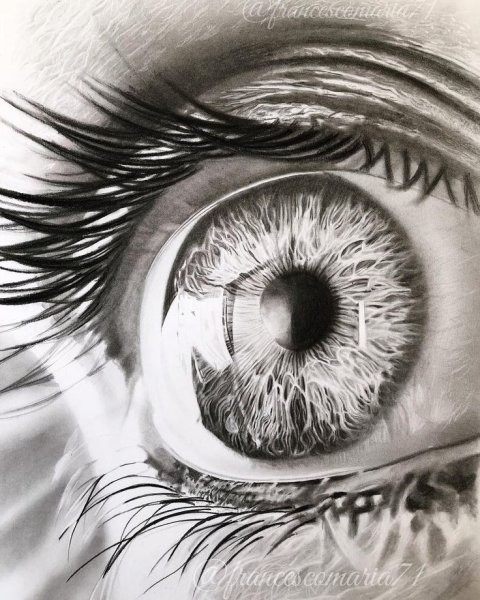 Глаз Графика