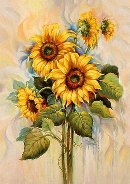 Разноцветный подсолнух