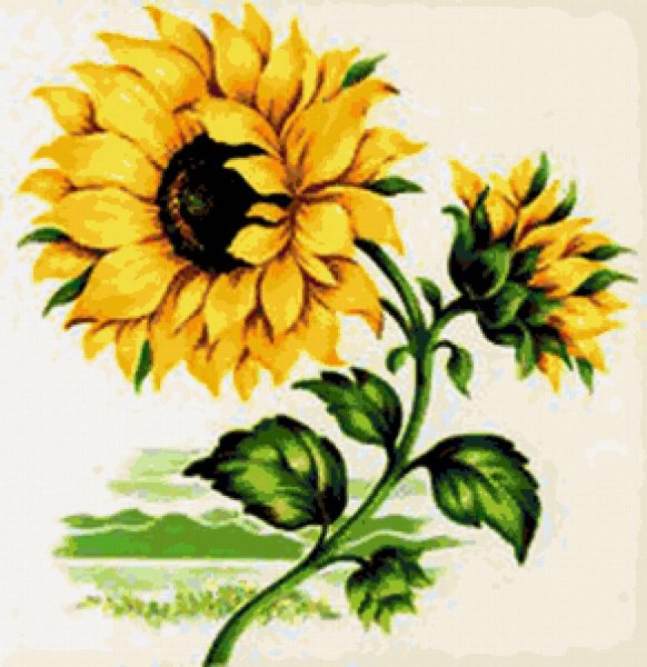 Подсолнухи Кубани орнамент
