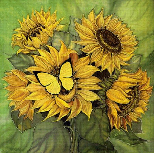 Джейн Пеллант Подсолнухи