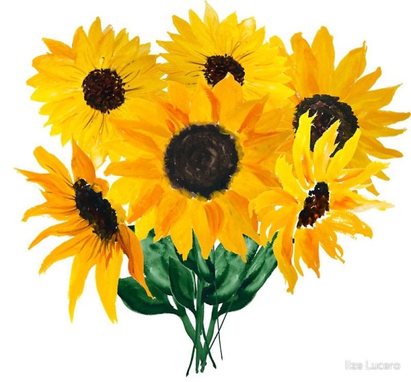 Наклейка - Подсолнухи