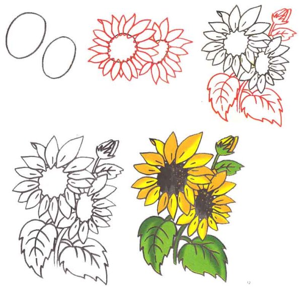 Поэтапное рисование цветов