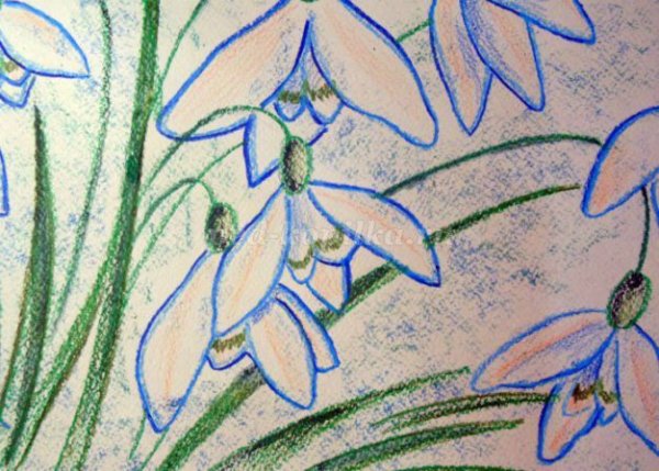 Рисование Подснежник 5 лет