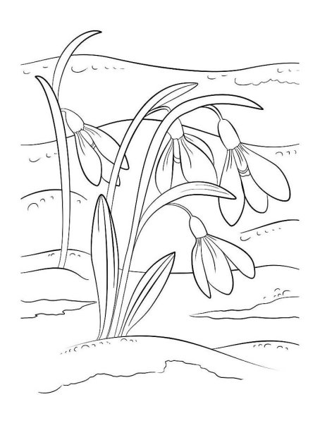 Раскраска Весна подснежники