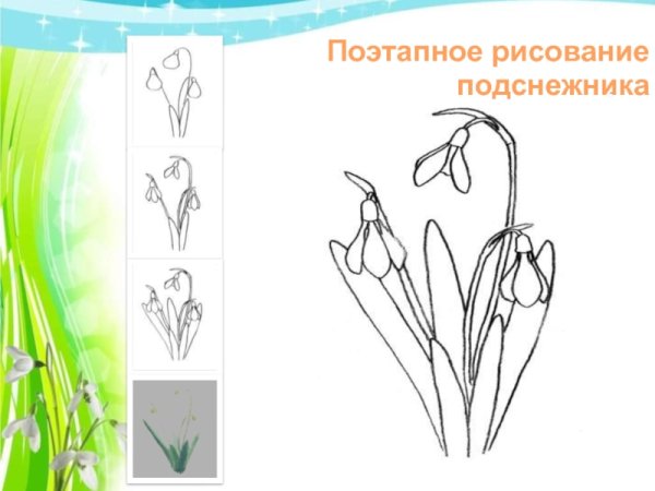 Рисование первые весенние цветы