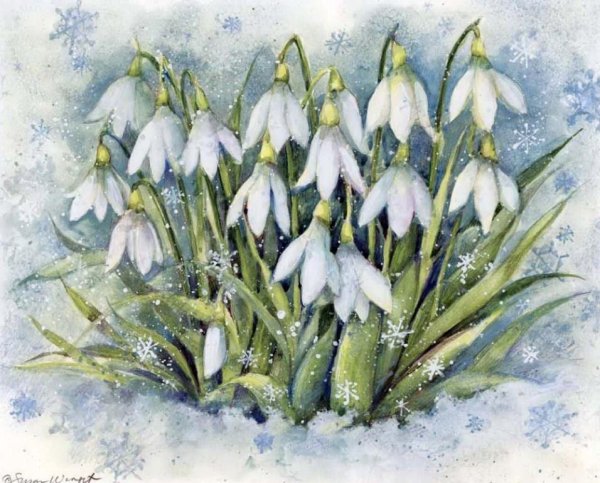 Пролески акварель