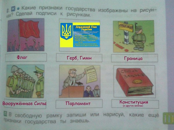 Основные принципы соц гос-ва