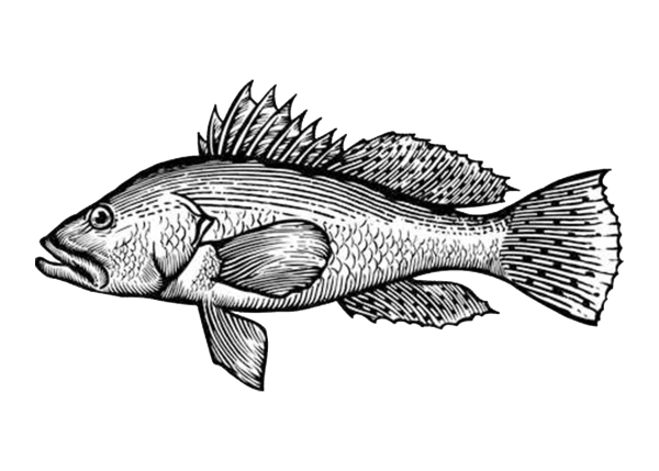 Луциан берикс