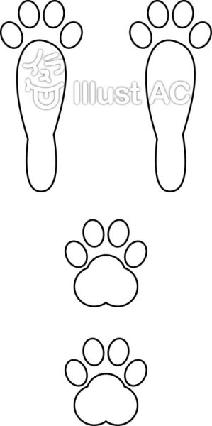 Следы зайца для детей