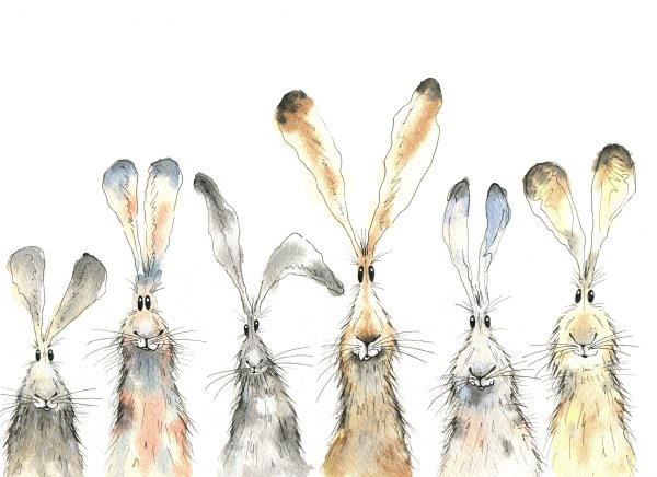 Отпечаток лапки зайца