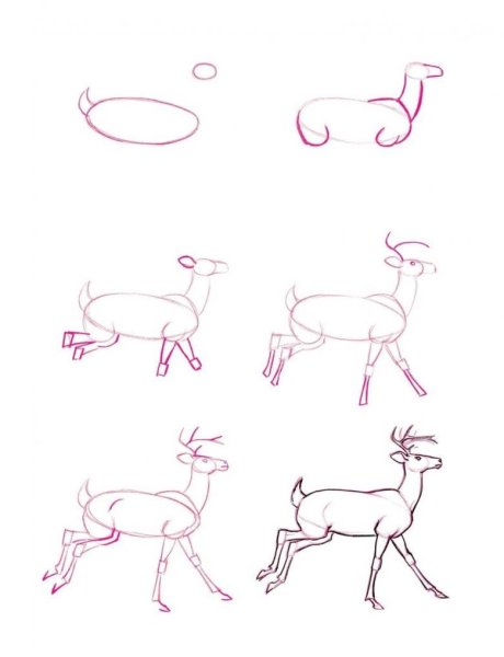 Нарисовать оленя поэтапно