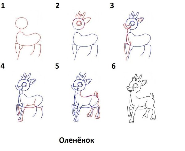 Поэтапное рисование оленя для детей