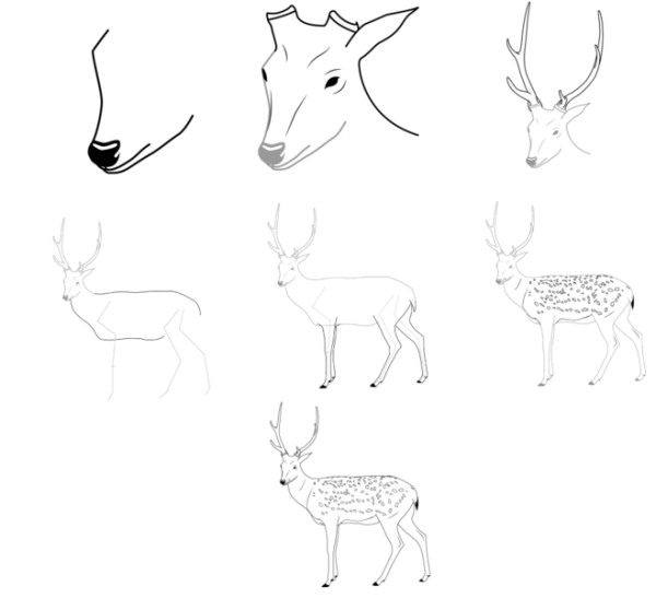 Поэтапное рисование оленя карандашом