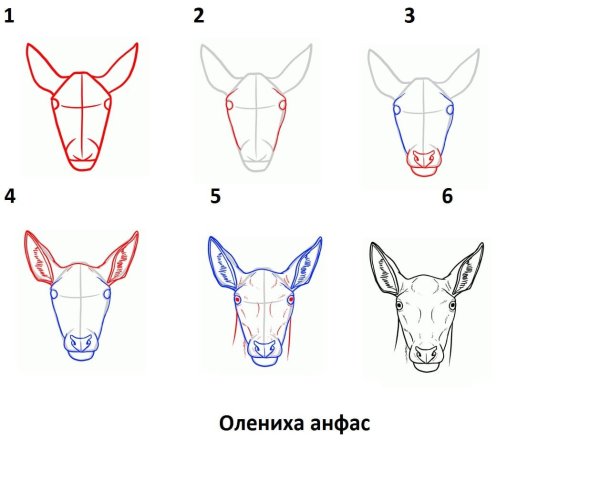 Олень референс сбоку