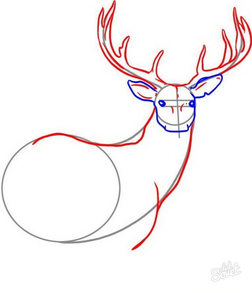 Этапы рисования оленя
