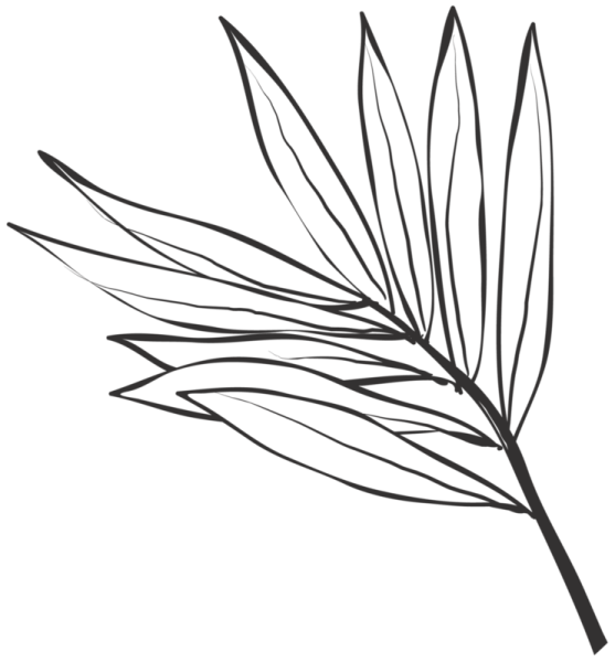 Листик Графика