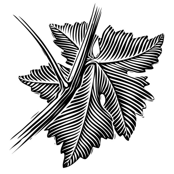 Стилизация листьев