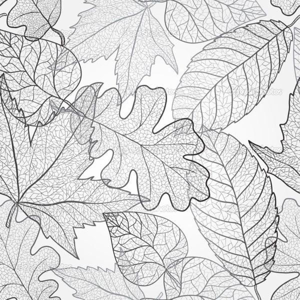 Ковер из листьев раскраска