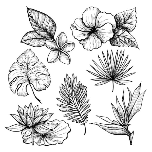 Стилизованное изображение листьев, цветов