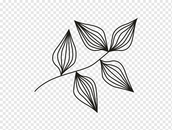 Листочки графические