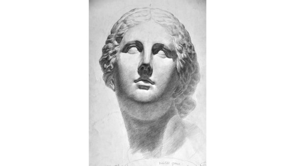 Гипсовая голова Антиноя МАРХИ