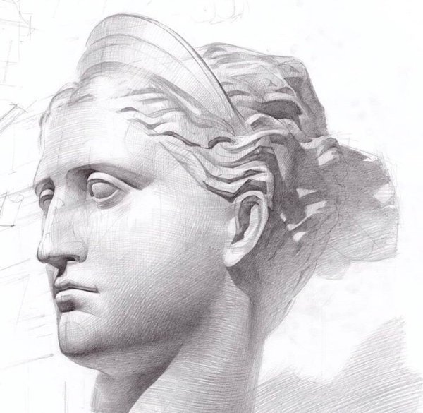 Голова Афродиты Академический рисунок