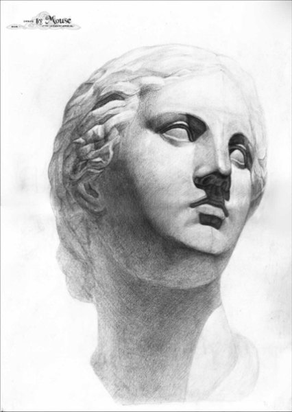 МАРХИ гипсовая голова Венеры