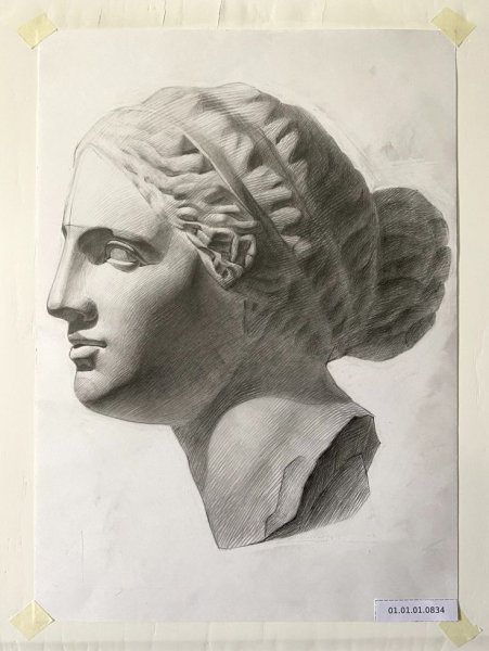 Гипсовая голова Венеры Милосской на построение