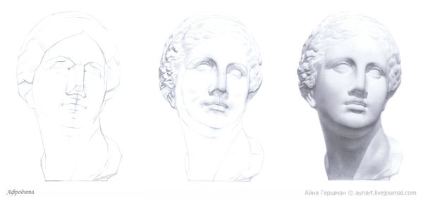 Афродита МАРХИ построение гипсовой головы