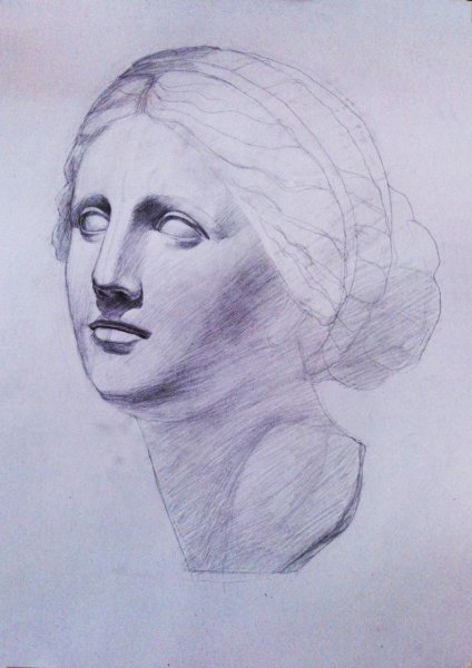 Афродита Книдская гипсовая голова