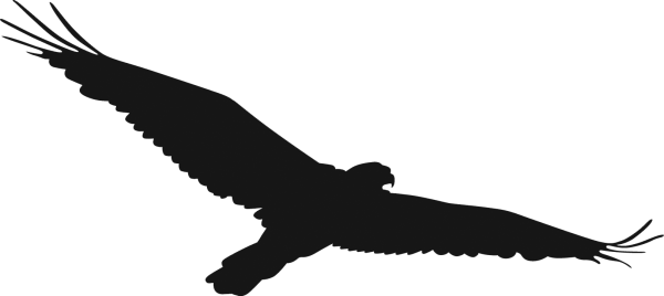 Силуэты Орлов в полете